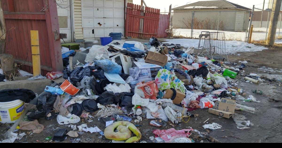 Accidental dump? Edmonton’s mystery garbage pile stumps Parkdale residents