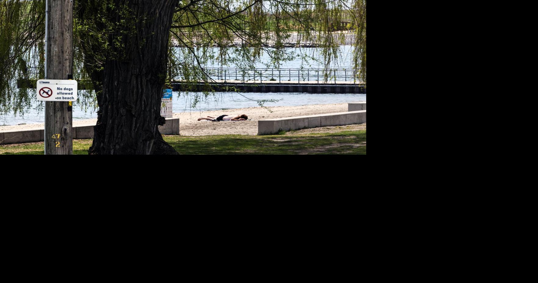 https://bloximages.chicago2.vip.townnews.com/thestar.com/content/tncms/assets/v3/editorial/6/29/629a4071-a827-48a9-ae45-89b1391b86ad/6a075f9a6e225.image.jpg?crop=1763,926,0,124&resize=1200,630&order=crop,resize