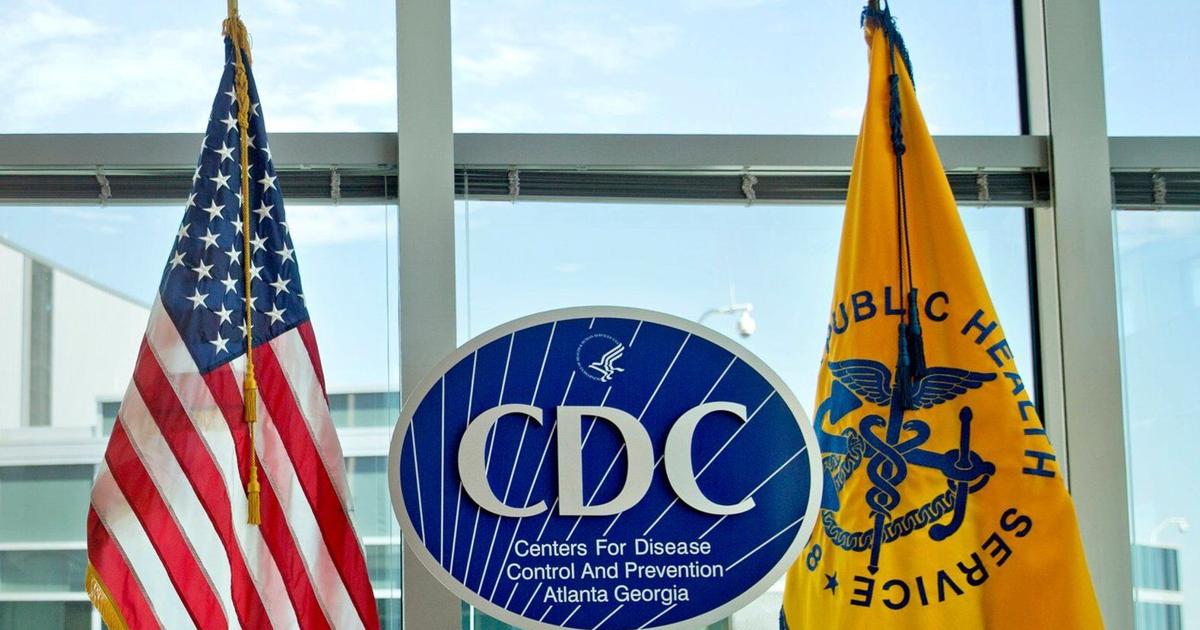 Zebra Cdc CDC warns of drug-resistant salmonella infections linked to backyard ...