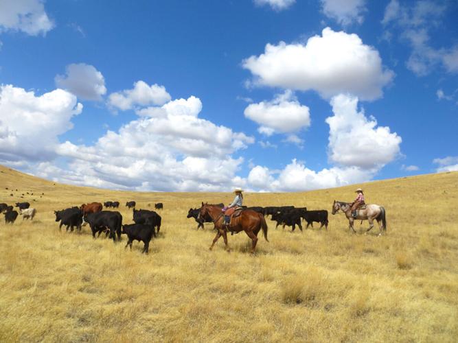 Typical Oregon Rancher Oregon’s cowboy culture contains community