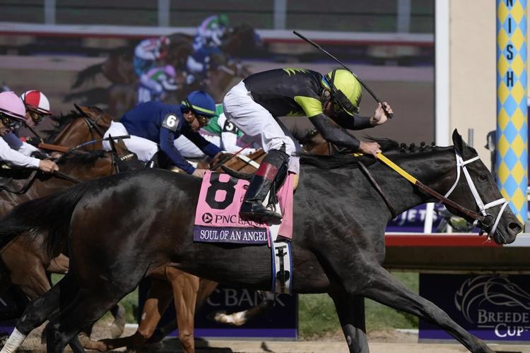 Thorpedo Anna caps sensational season with victory in the Breeders' Cup