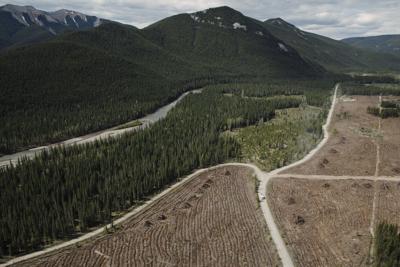 Alberta reaches settlement with two coal companies suing over policy flip-flop