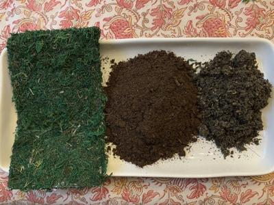 Transform your houseplants into art with this Japanese gardening technique
