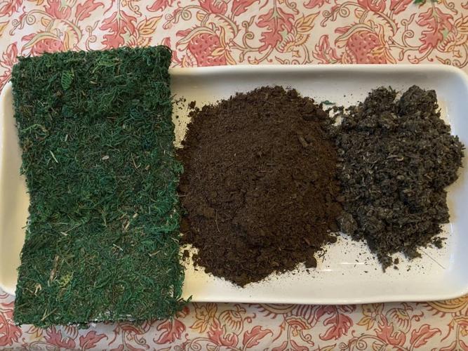 Transform your houseplants into art with this Japanese gardening technique