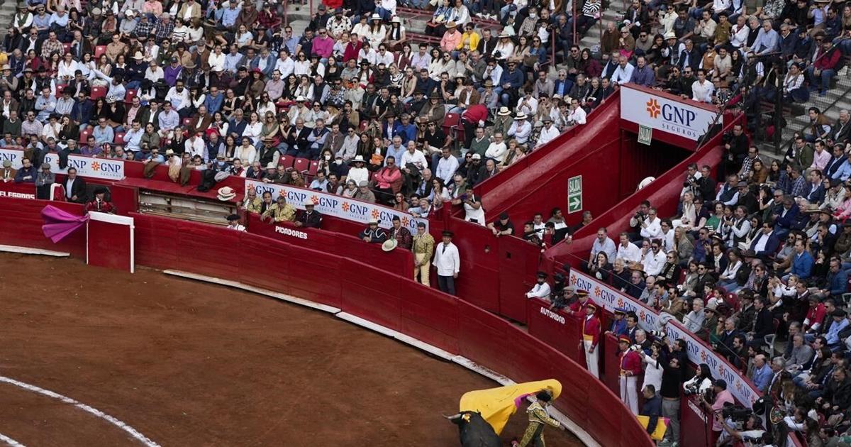 Tribunal Federal suspende una vez más las corridas de toros en la Ciudad de México mientras activistas y simpatizantes chocan