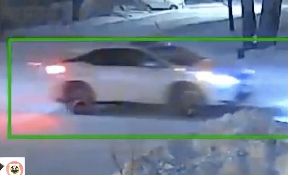 Information sought in Wasaga Beach abduction of Elnaz Hajtamiri