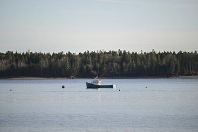 Immigration drives 2.7 per cent growth in New Brunswick population