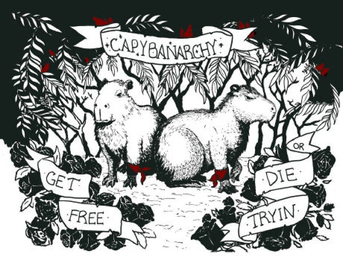 Comic artist re-imagines capybara tale