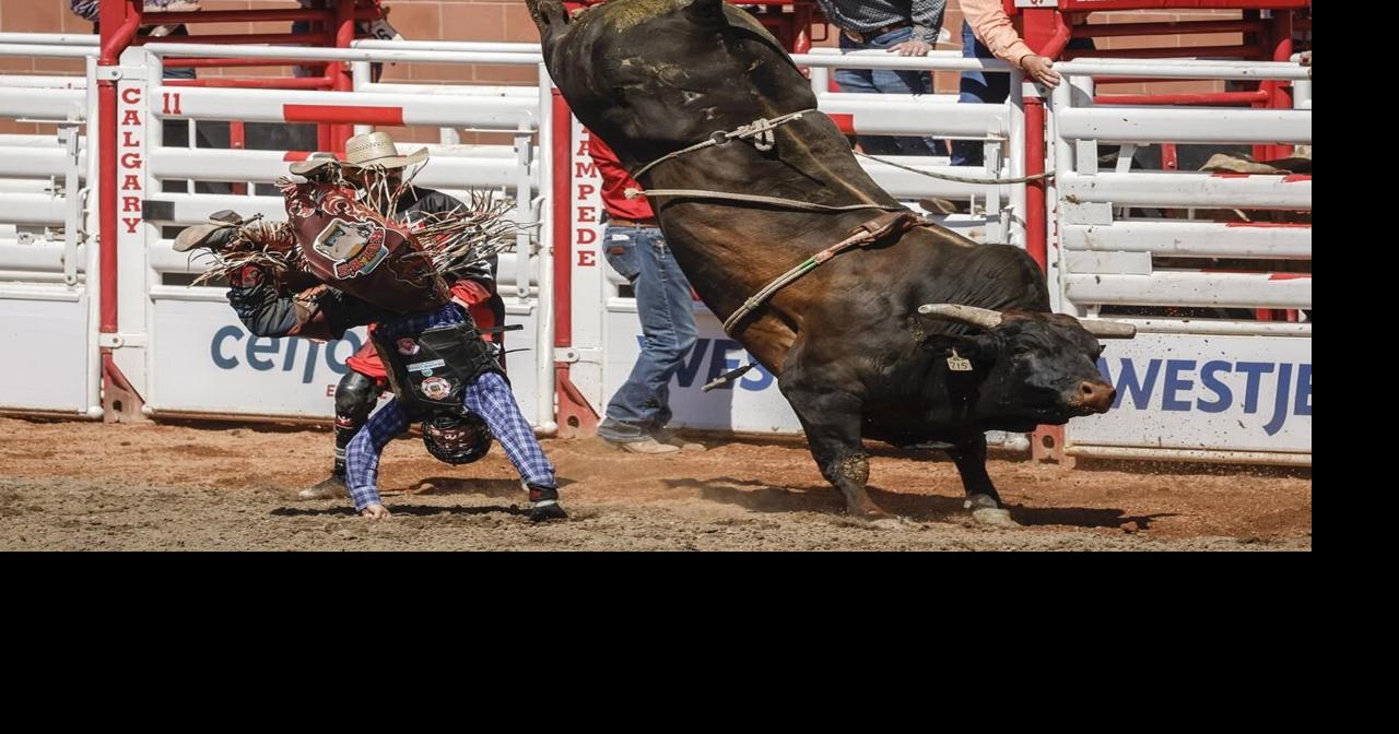 Photo Gallery: Calgary Stampede rodeo competition