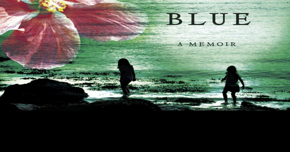 The Water Here is Never Blue by Shelagh Plunkett review