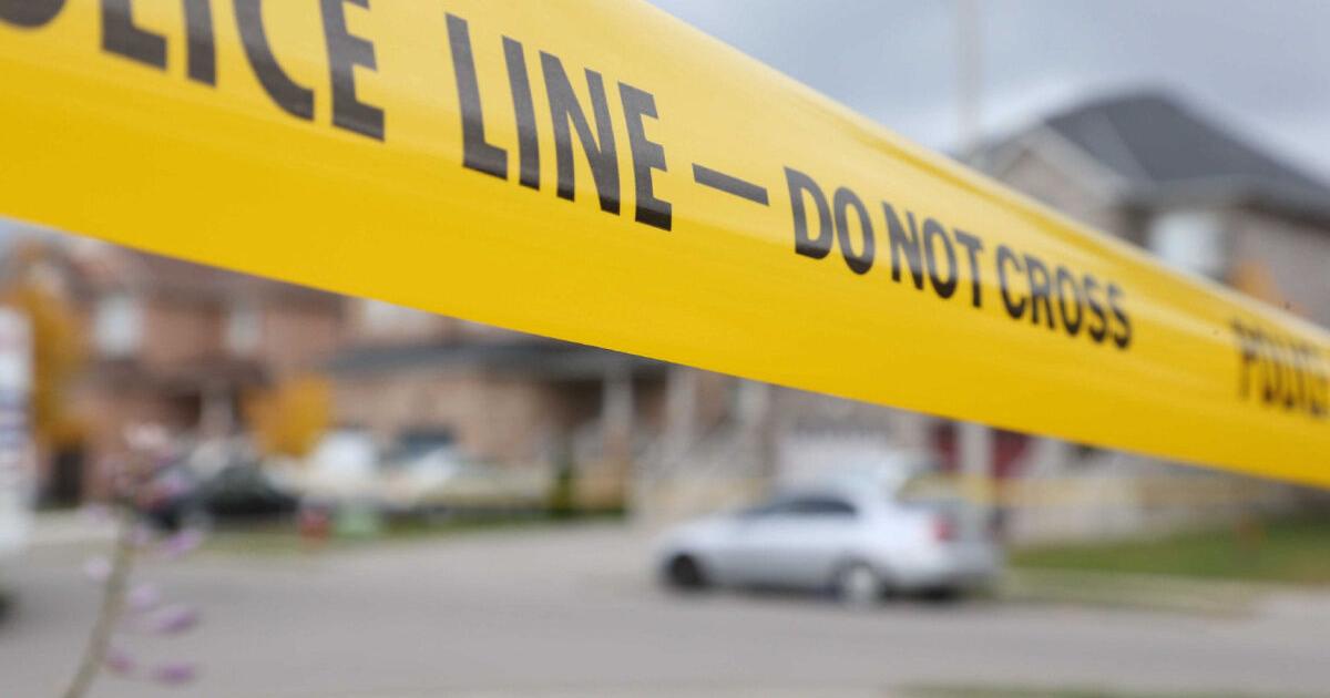 Interactive Toronto crime maps