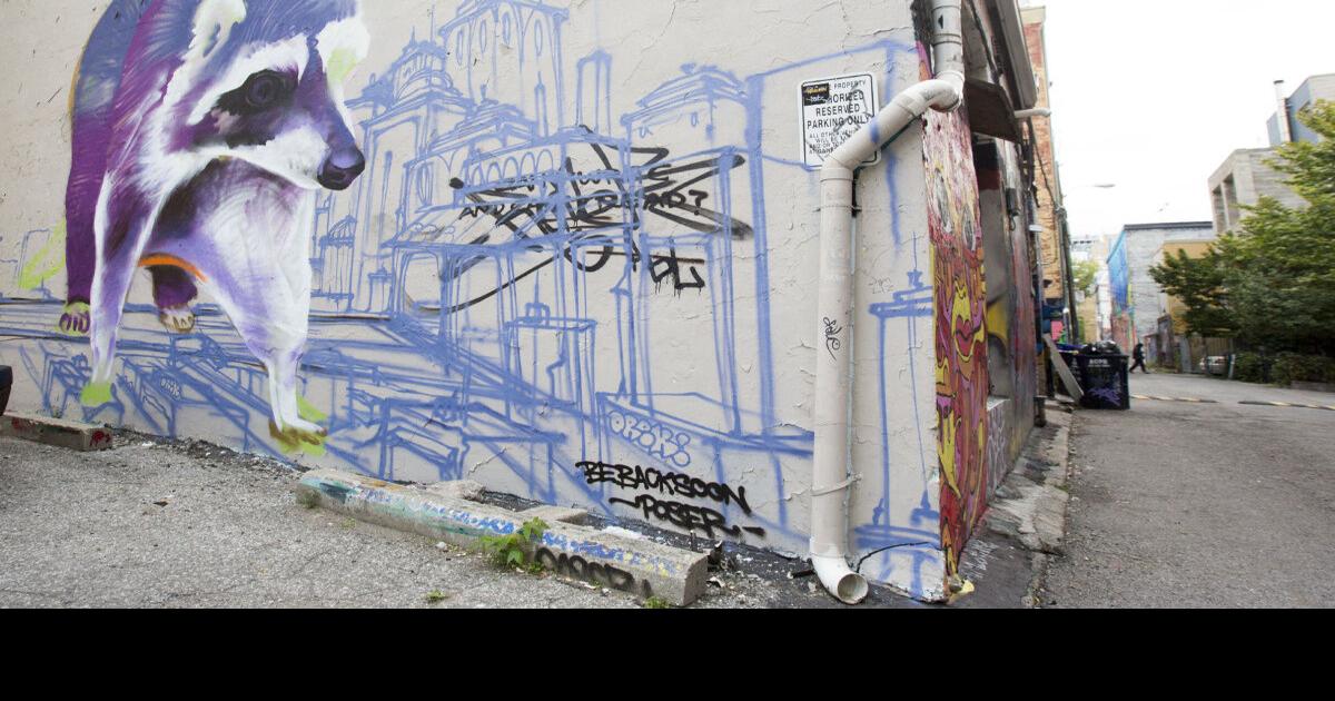 How Torontonians can co-exist with their furry neighbours, even raccoons