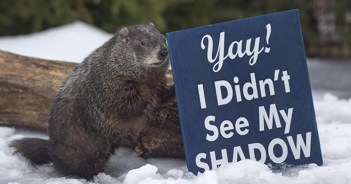 Wiarton Willie predicts an early spring
