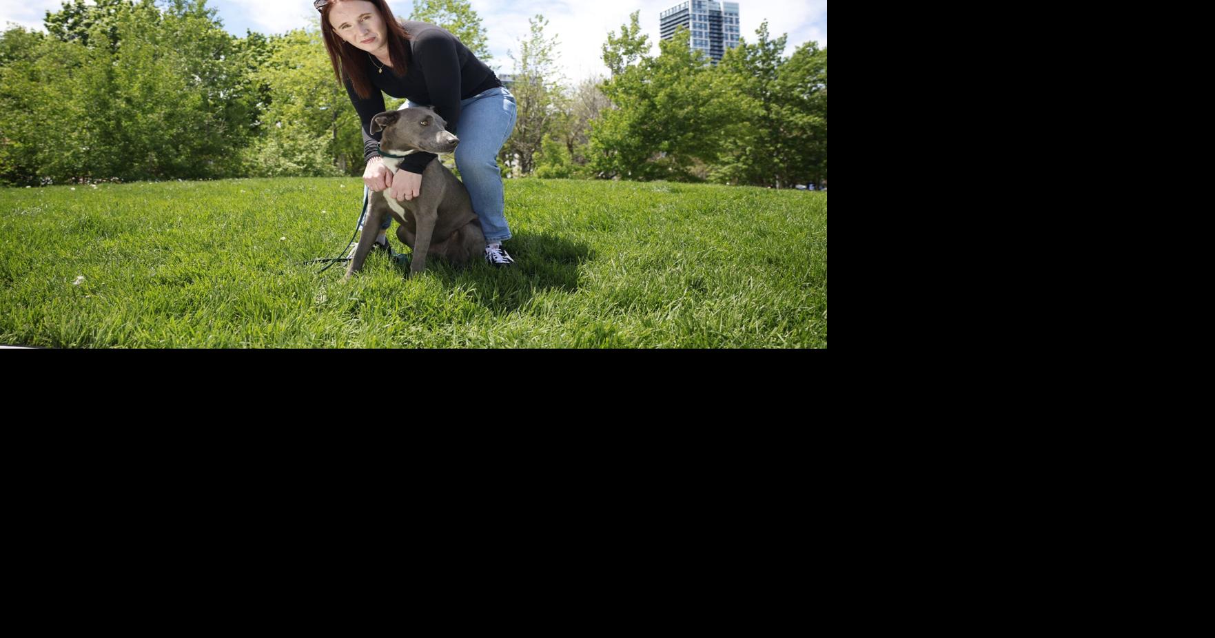 Toronto residents say sound cannons are rattling their dogs