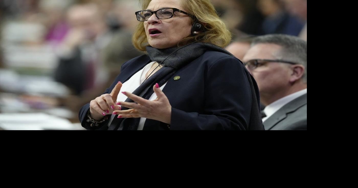 Diab says C-12 could ease some refugee claims, critics call it a two-tier system