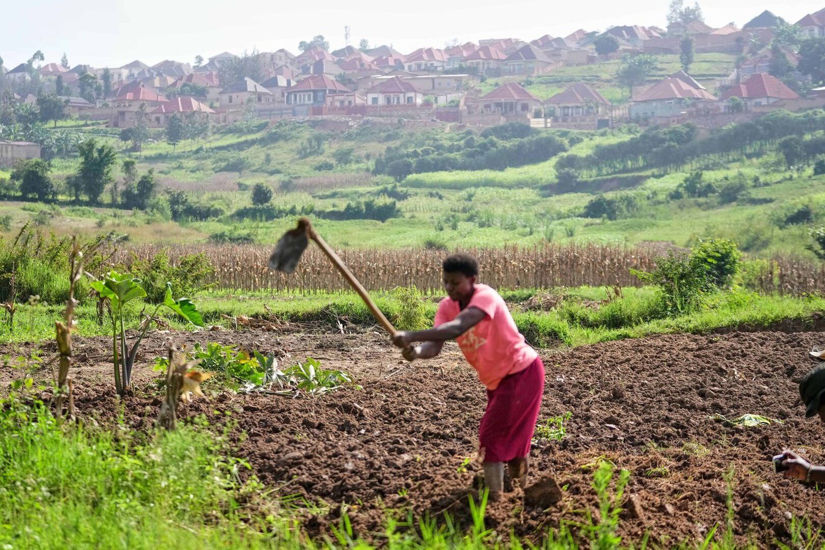 Farmers In Rwanda Rwanda tries to protect farmland in Africa's most densely populated nation
