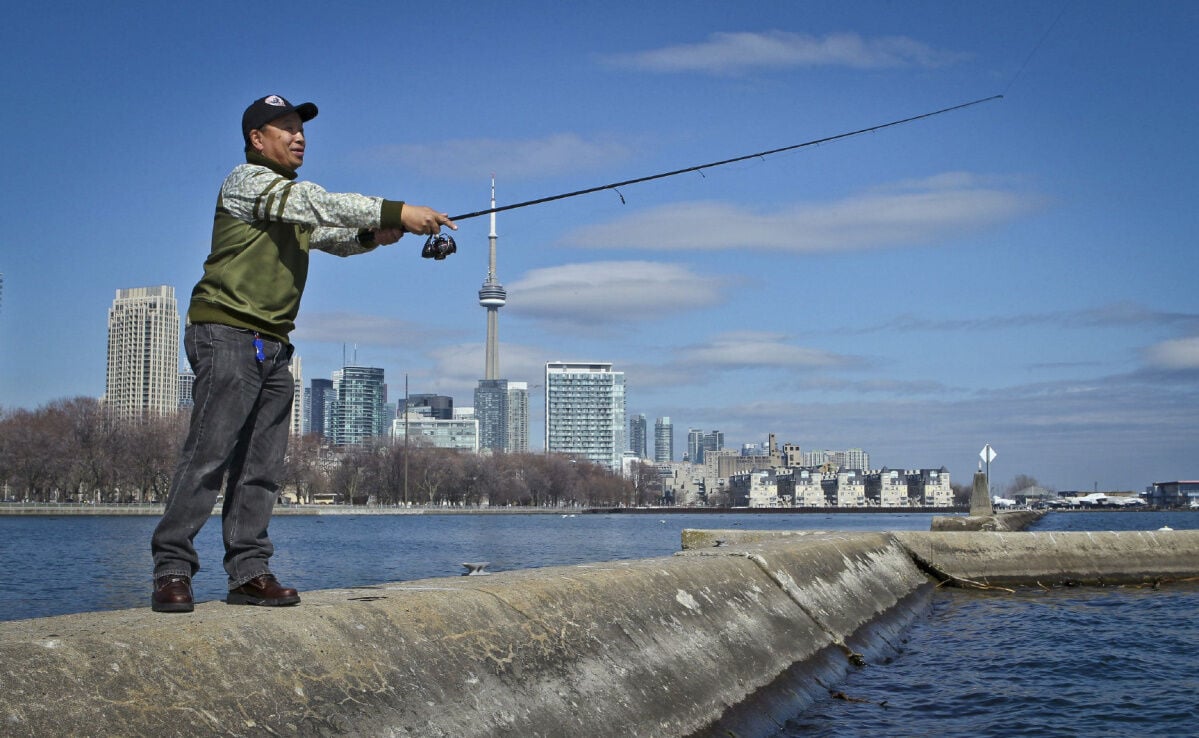 David Chong - Fish - David Chong - Fish Hard Dream Big