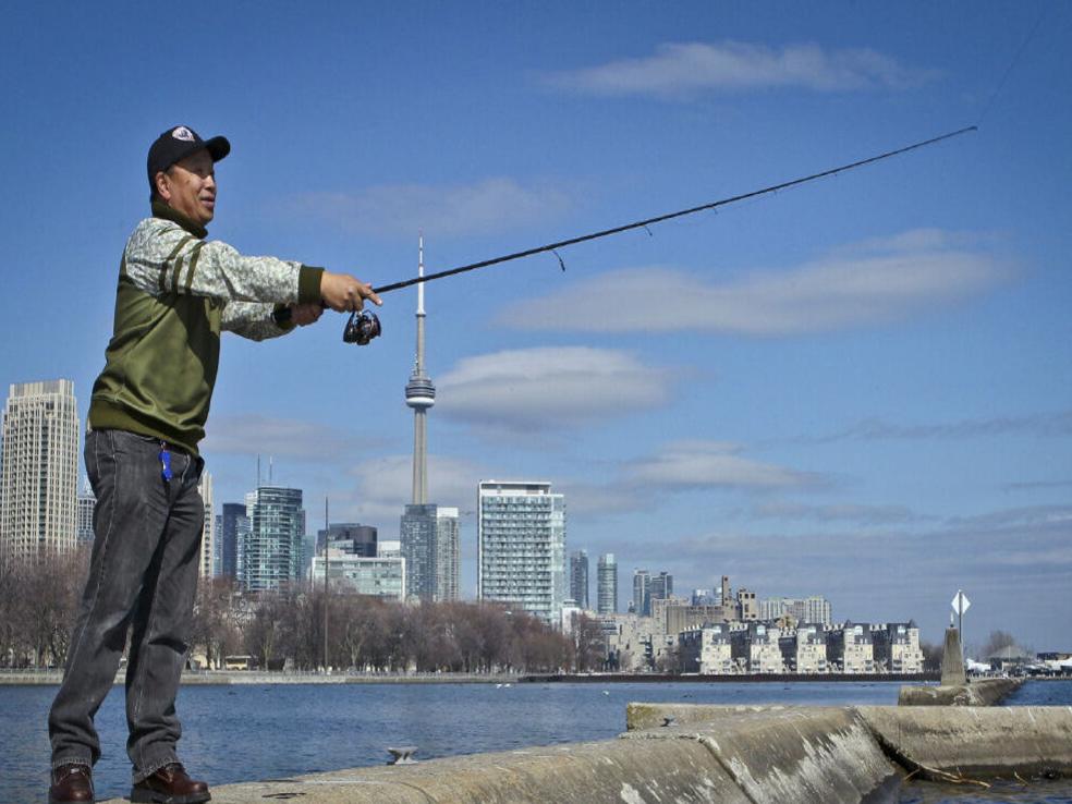 Fishy bylaws thwart angler on Toronto's waterfront