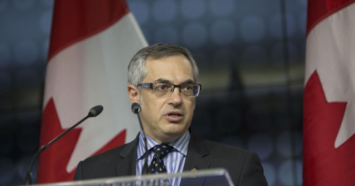 Tony Clement launches bid for Tory leader — with social media as a focus