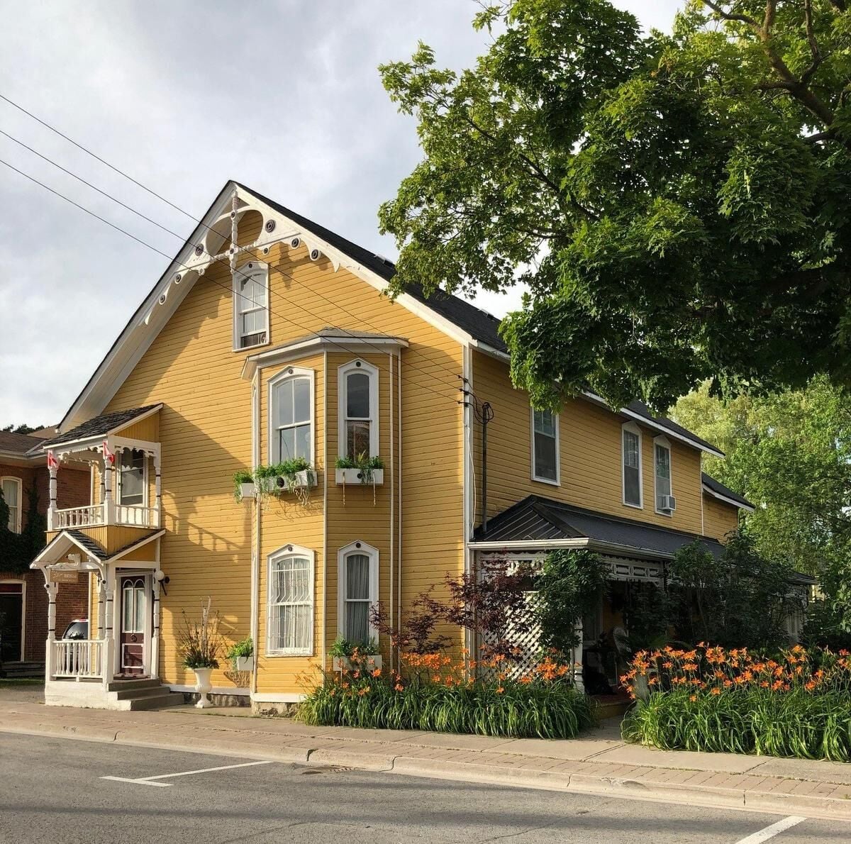 The dream home: 'Yellow Bordello' in Warkworth charms