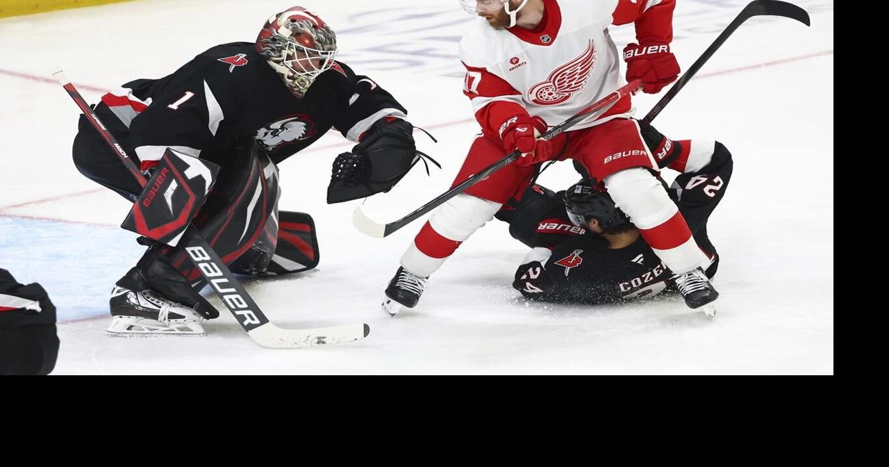 Sabres beat the Red Wings 5-3