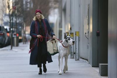 Movie Review: Naomi Watts and a Great Dane mourn Bill Murray in ‘The Friend’