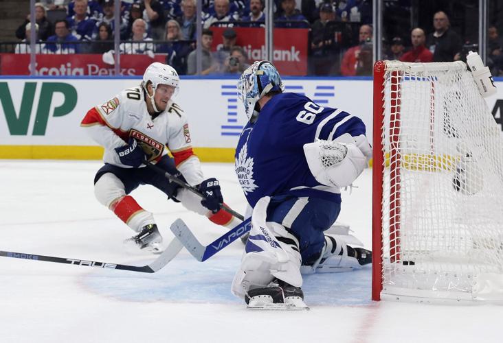 sr_leafs_250514_11.JPG
