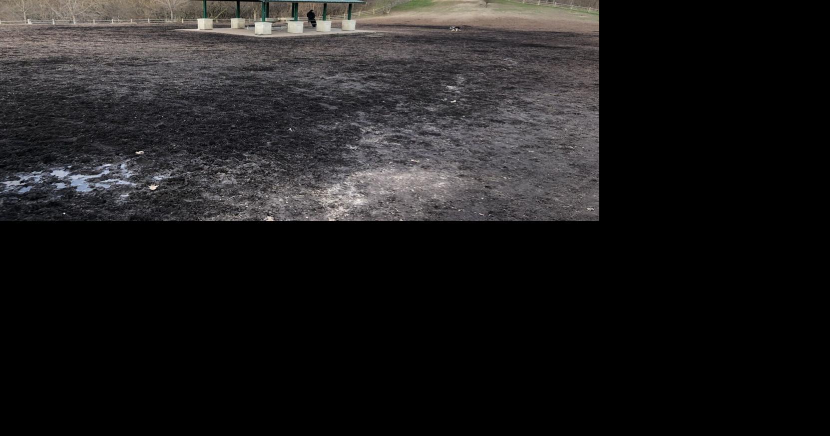https://bloximages.chicago2.vip.townnews.com/thestar.com/content/tncms/assets/v3/editorial/6/e9/6e9a7f00-7a2b-5477-8dd1-ed356f78f943/69f2479ba8f79.image.jpg?crop=1662,873,0,187&resize=1200,630&order=crop,resize