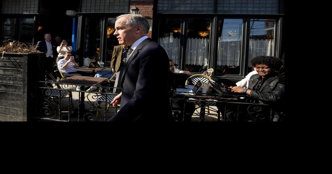 'Good day to be a polar bear': Carney unveils nature strategy, new conservation areas