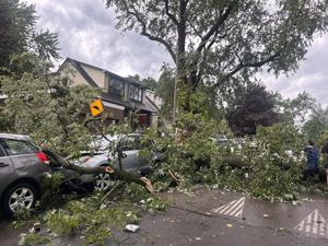 As Toronto cleans up tree damage from storm, residents eye aging canopy — nervously