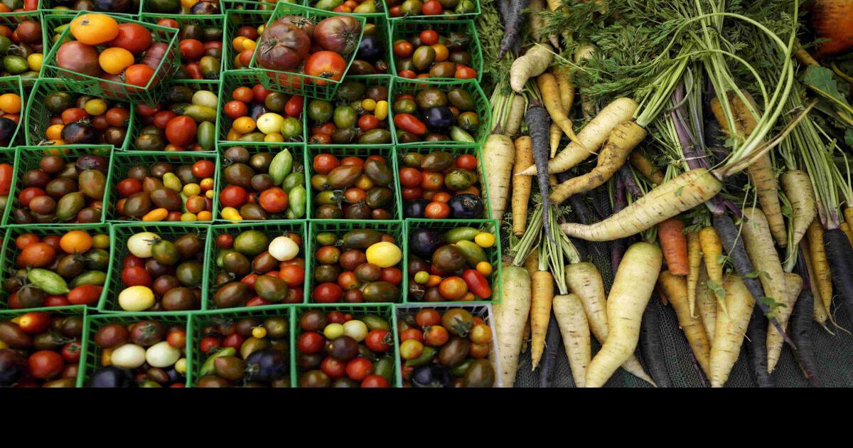 Can Fruit Be Brought Into Canada Travel Smart: What food you can and can’t bring into Canada