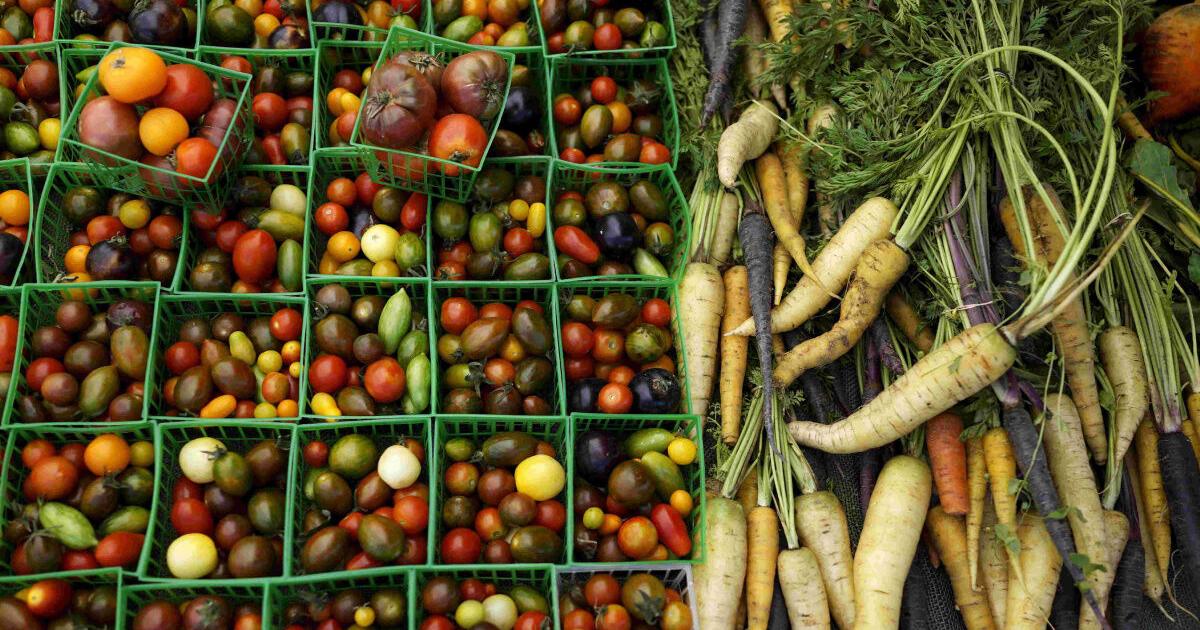 Can Fruit Be Brought Into Canada Travel Smart: What food you can and can’t bring into Canada