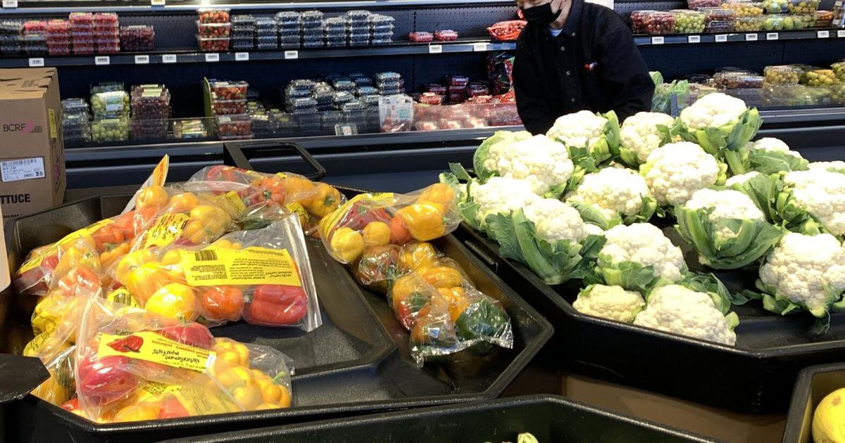 'That's an outrageous number': Here's how much food we're wasting in Canada, according to a new report