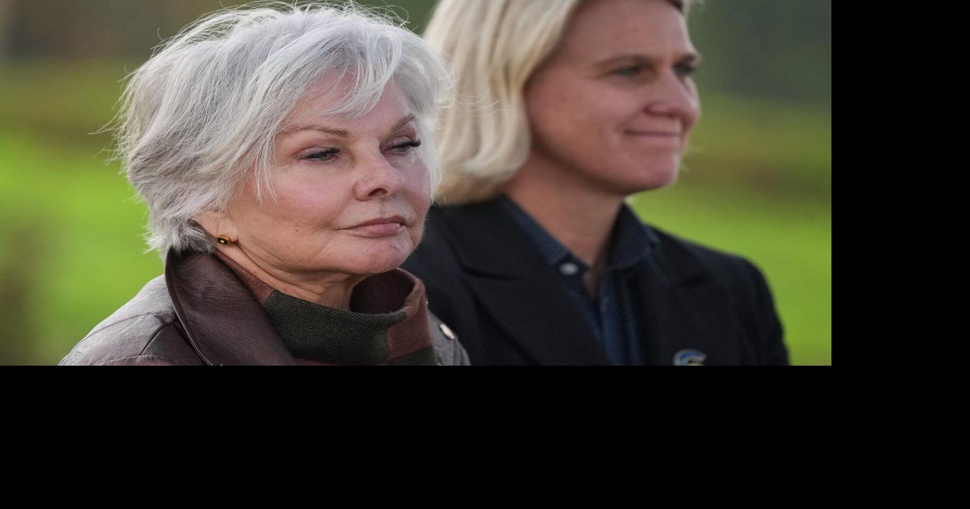 Upheaval in B.C. Conservative caucus unabated as Findlay resigns as leader