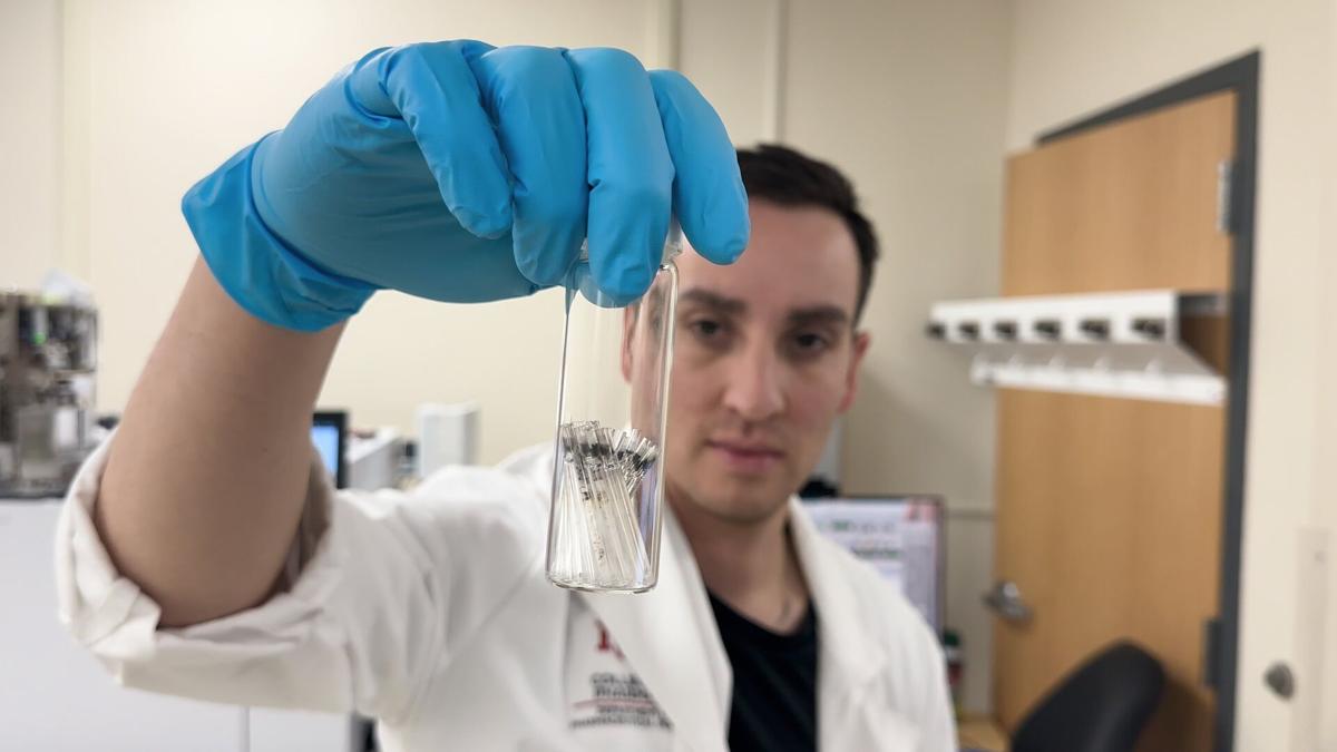 Credit card's worth of microplastic found in the human brain