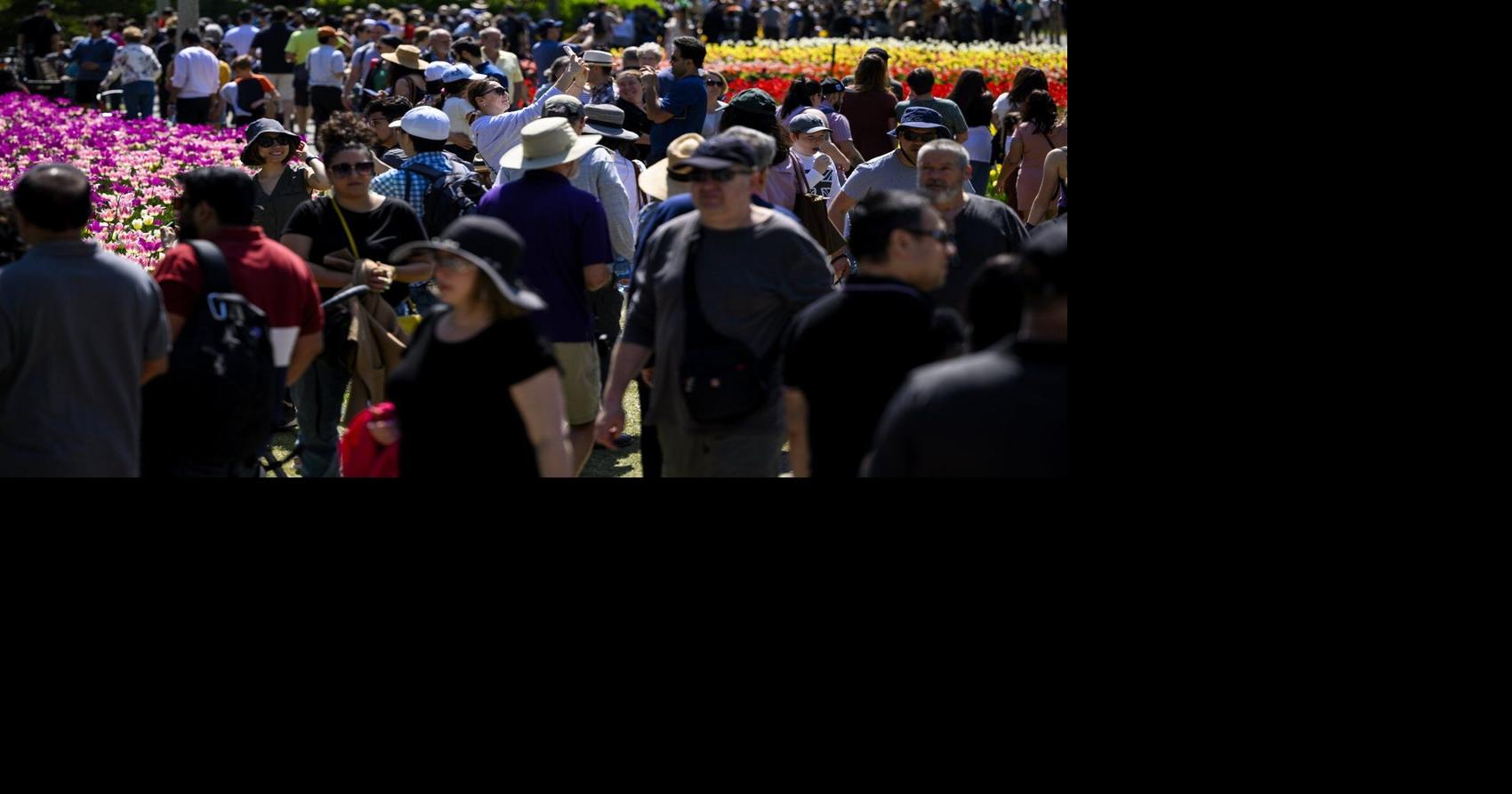 As Canada's population growth slows, an economic shift emerges