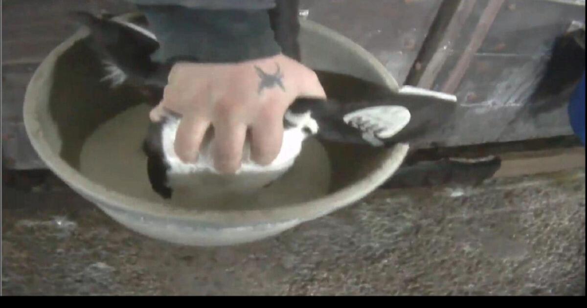 Abuse of veal calves unveiled by hidden camera