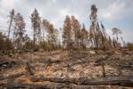 arlyn wildfire.JPG
