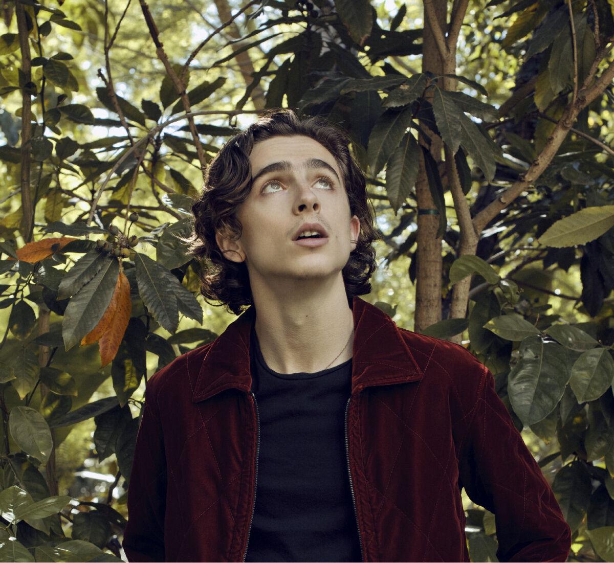 Timothée Chalamet delivers outstanding performance in 'Call Me by