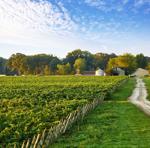 pelee-sunrise_COL3226.jpg