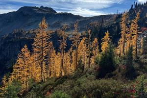 Agriculture secretary says agency is “full-bore ahead” on Forest Service reorganization