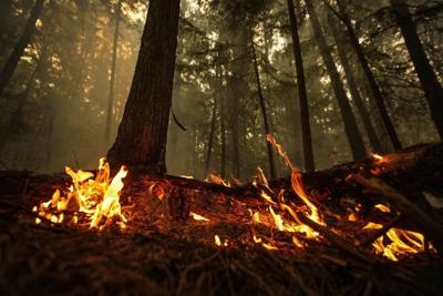 Newly discovered wildfires reported burning out of control in B.C.
