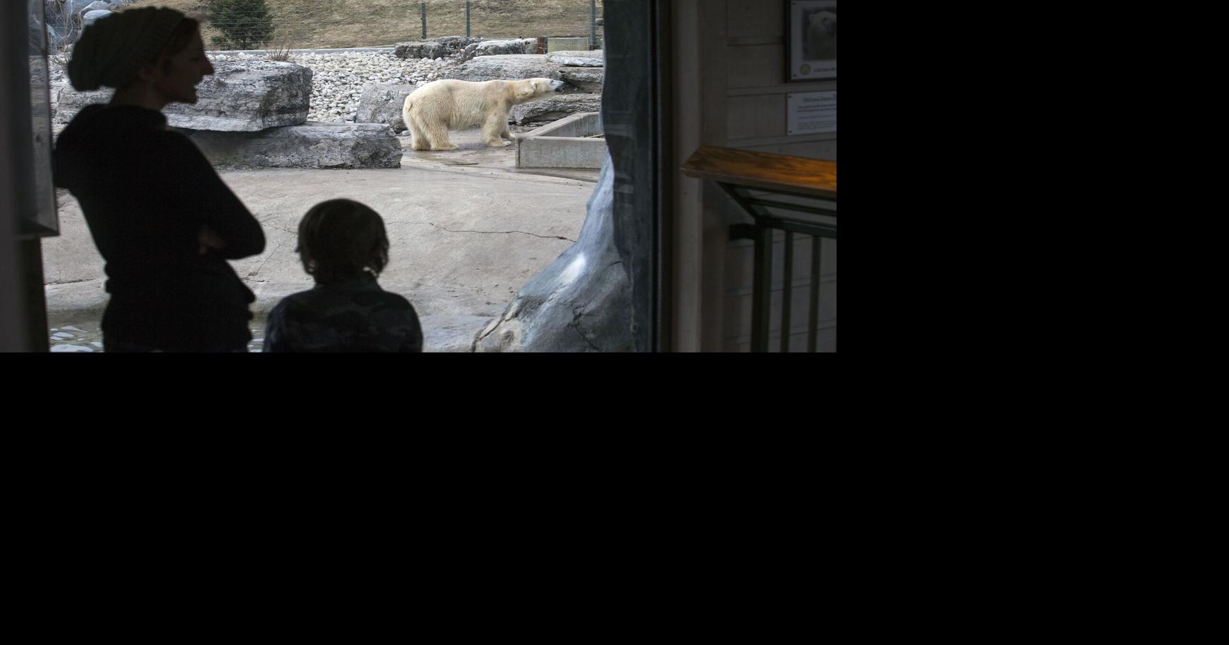 Toronto Zoo Confirms Visitor Data Breach After Cybersecurity Attack