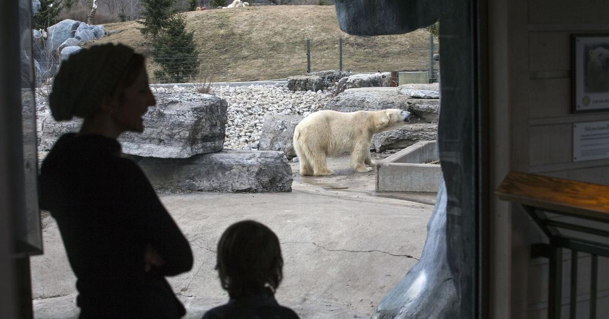 Toronto Zoo Confirms Visitor Data Breach After Cybersecurity Attack