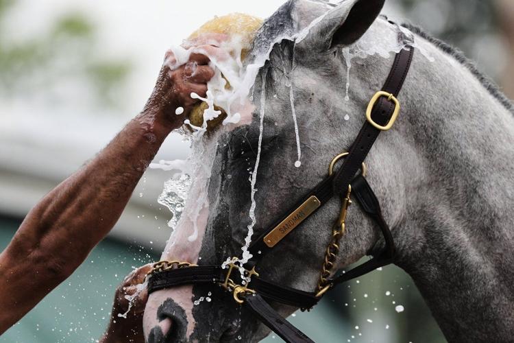 Enter Metallica: Sandman has some hard-rocking fans going into the Preakness