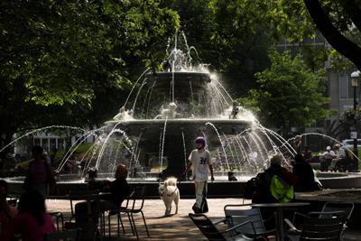 Berczy Park.JPG