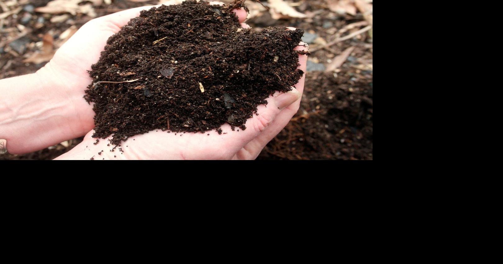 How to mulch your garden beds without harming plants