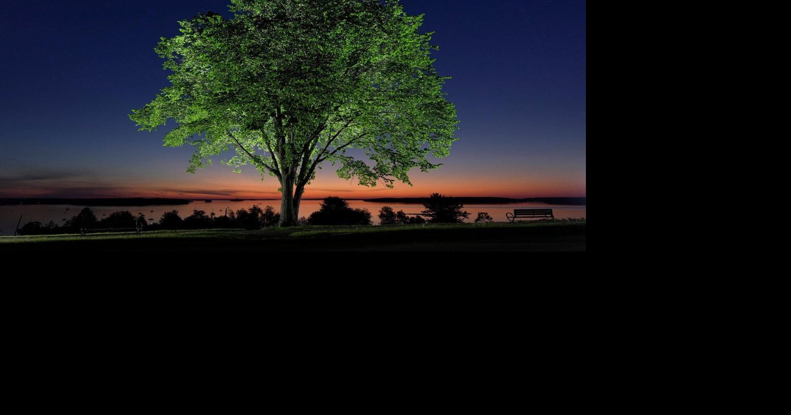 https://bloximages.chicago2.vip.townnews.com/thestar.com/content/tncms/assets/v3/editorial/7/39/73922bd1-6ce5-5b86-b4bf-723adf4a343a/6a9561090d10c.image.jpg?crop=1620%2C851%2C0%2C114&resize=1200%2C630&order=crop%2Cresize