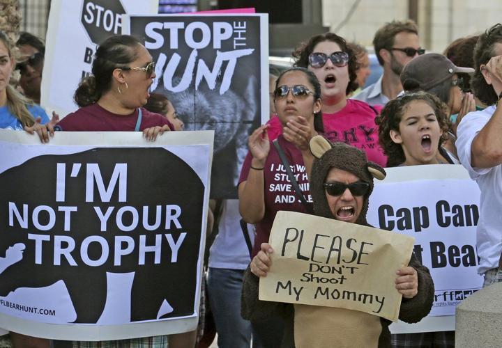 Florida #39 s first black bear hunt in a decade approved despite strong
