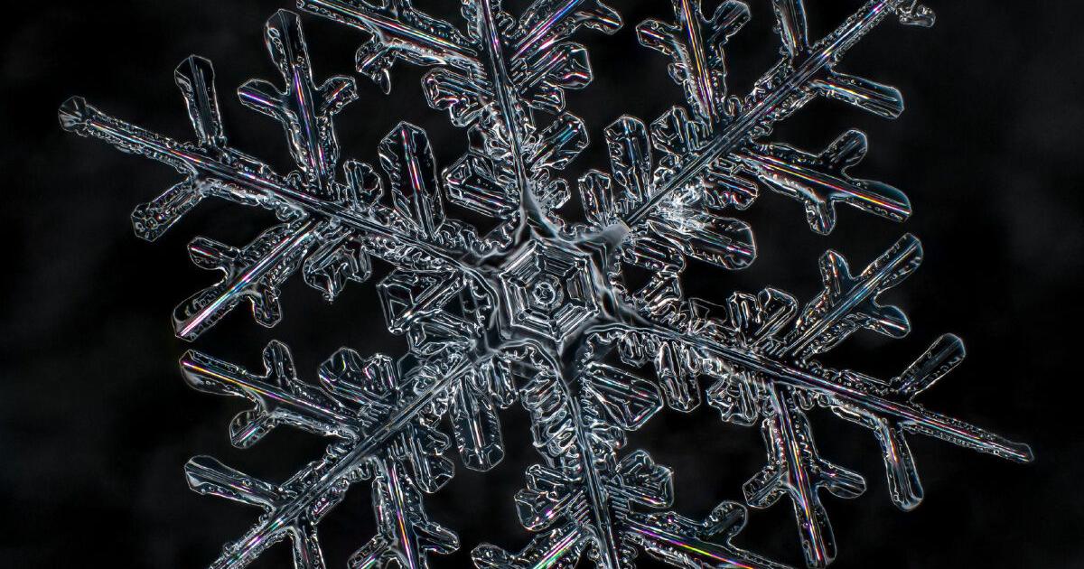 Barrie photographer captures snowflakes' unique beauty
